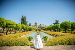 FranPhotography's photo