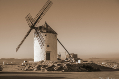 FranPhotography's photo