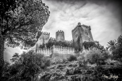 FranPhotography's photo