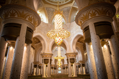 FranPhotography's photo