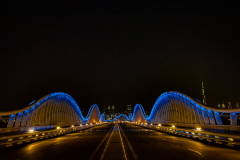 FranPhotography's photo