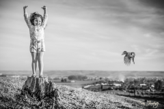 FranPhotography's photo