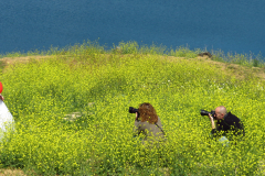 FranPhotography's photo