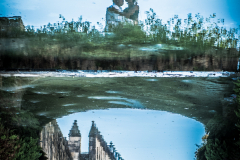 FranPhotography's photo