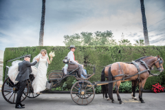 FranPhotography's photo